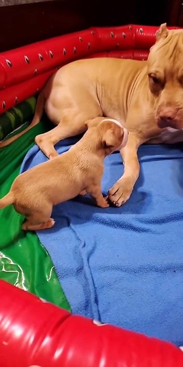 She a lil feisty one.. I think I wanna keep her..