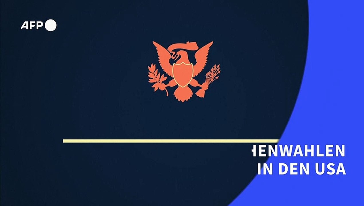 Zwischenwahlen in den USA: Ein Überblick