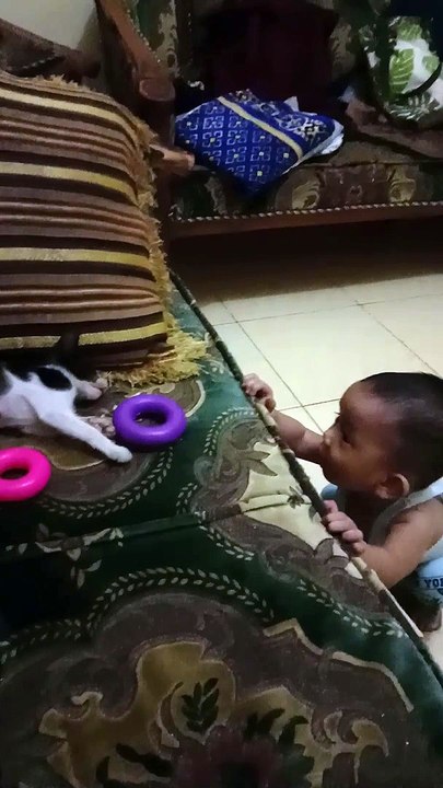 Anak main kucing