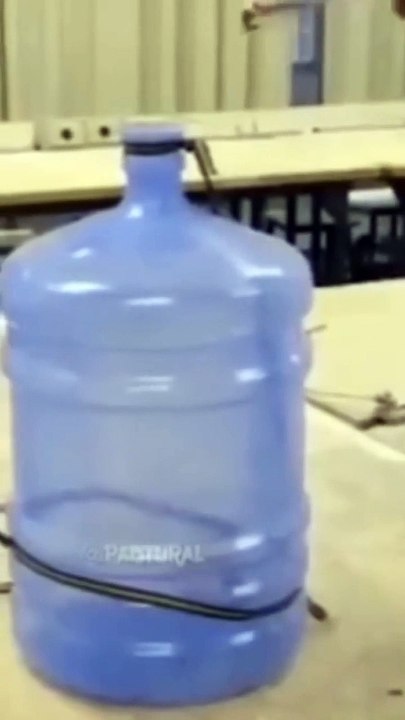 Girl experiment vs boy experiment