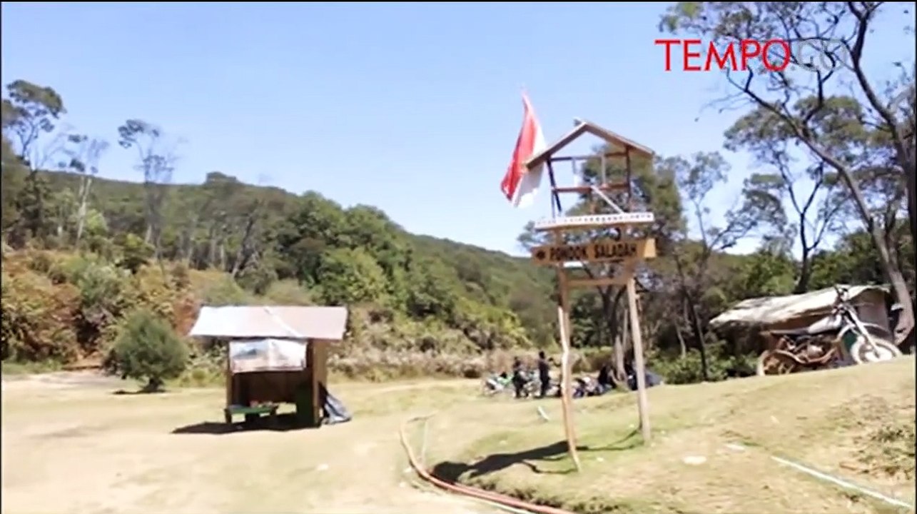 Padang Bunga Edelweiss di Gunung Papandayan Terbakar