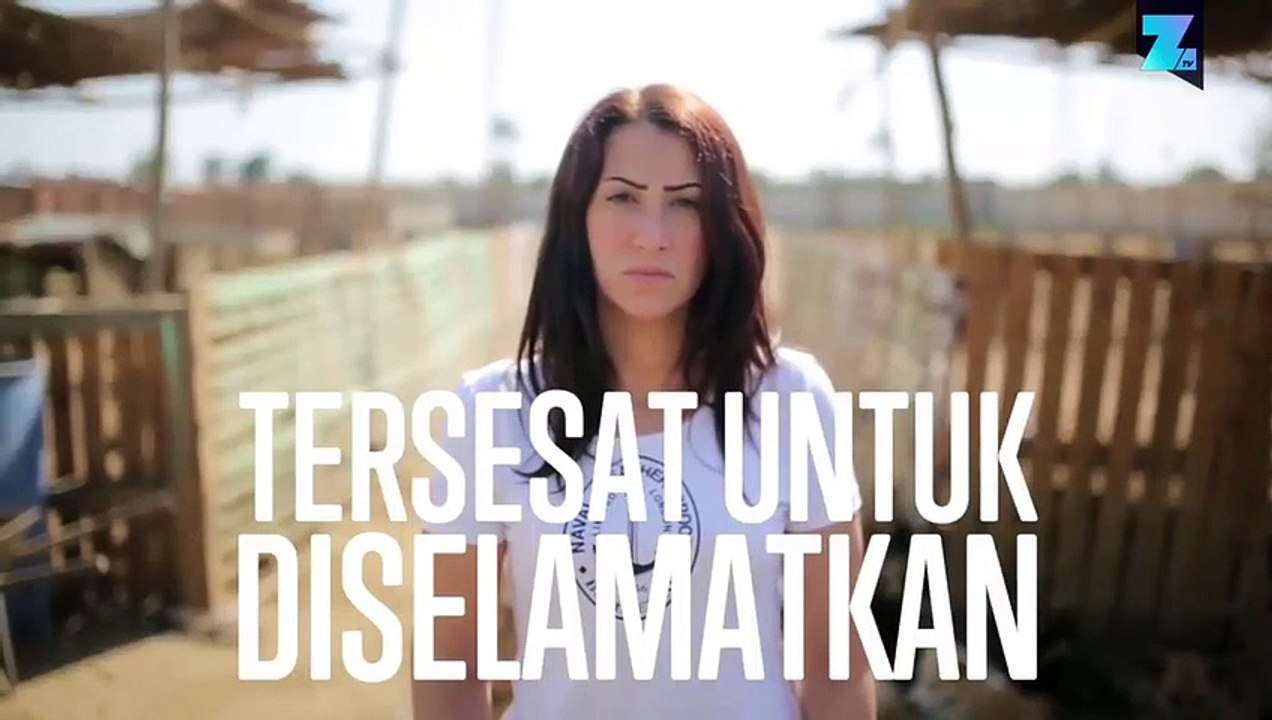 Pelindung Anjing Mesir