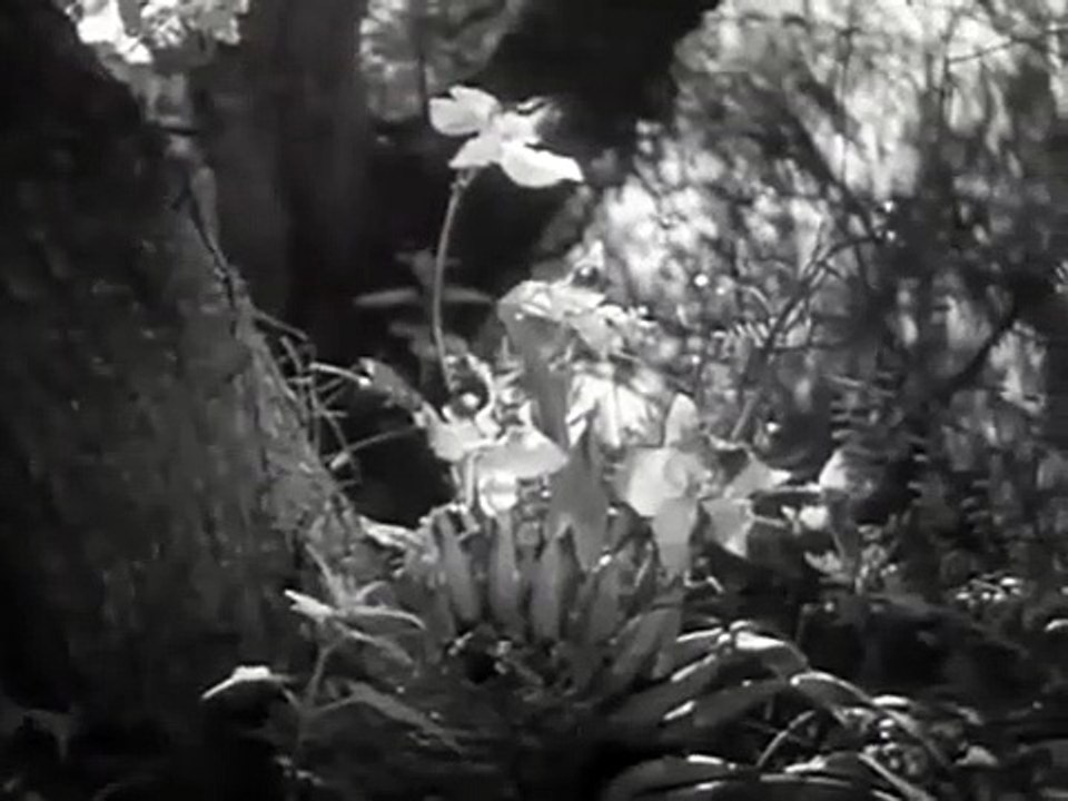 El Bombero Atomico Pelicula completa. Peliculas de cantinflas completas - PARTE 1