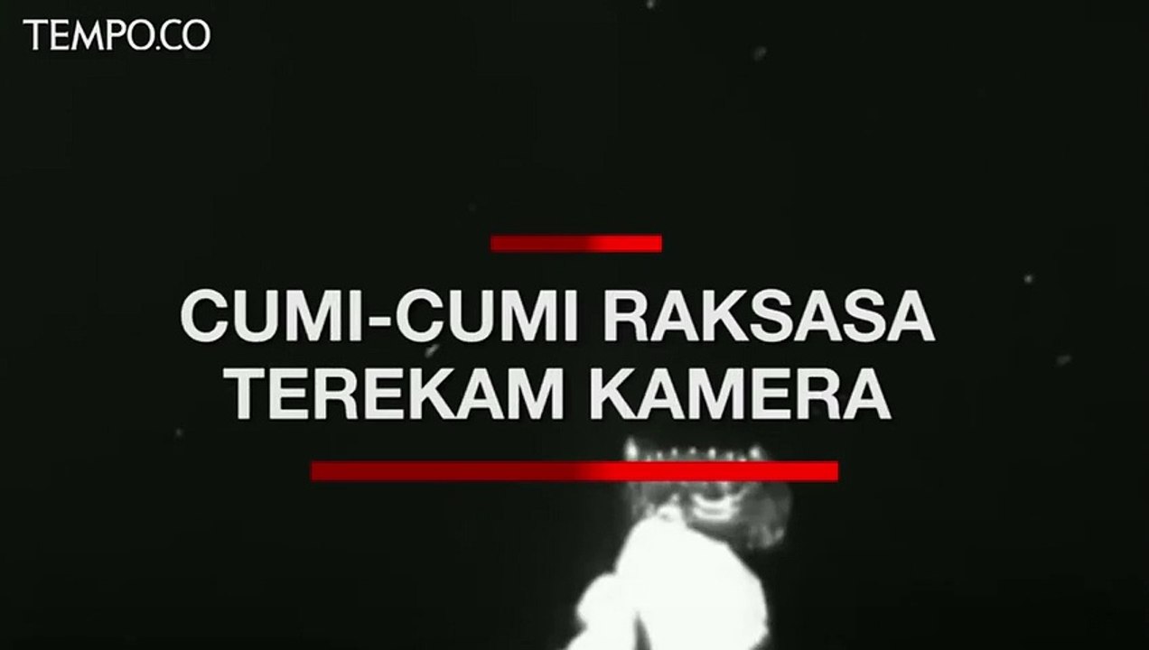 NOAA Rekam Keberadaan Cumi-cumi Raksasa Kraken di Lautan Dalam