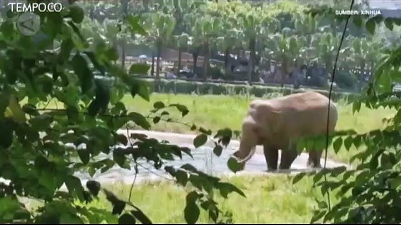 Aksi Satwa Berjemur Selama Musim Panas