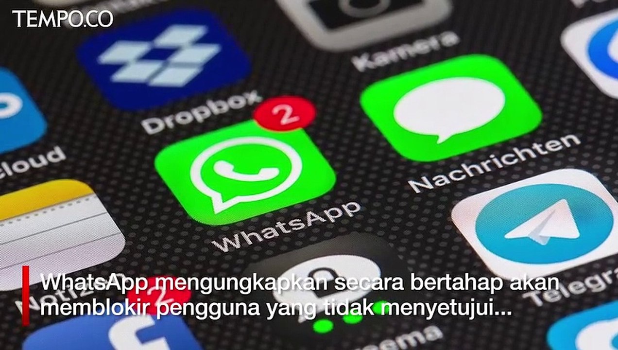Tak Mau WhatsApp Terblokir, Setujui Pembaruan Sebelum 15 Mei