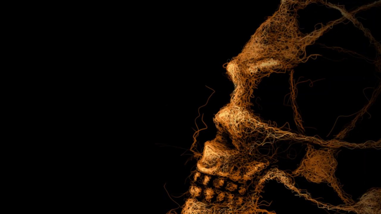 SKULL - SCRIBBLE ART | COREL PAINTER