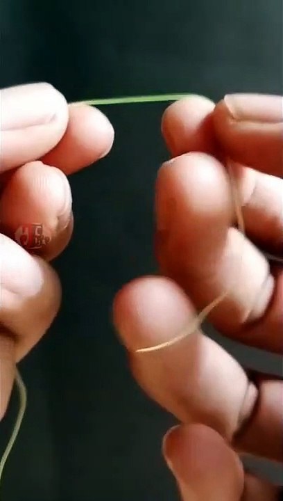 T-Knot without Swivel Hery Style