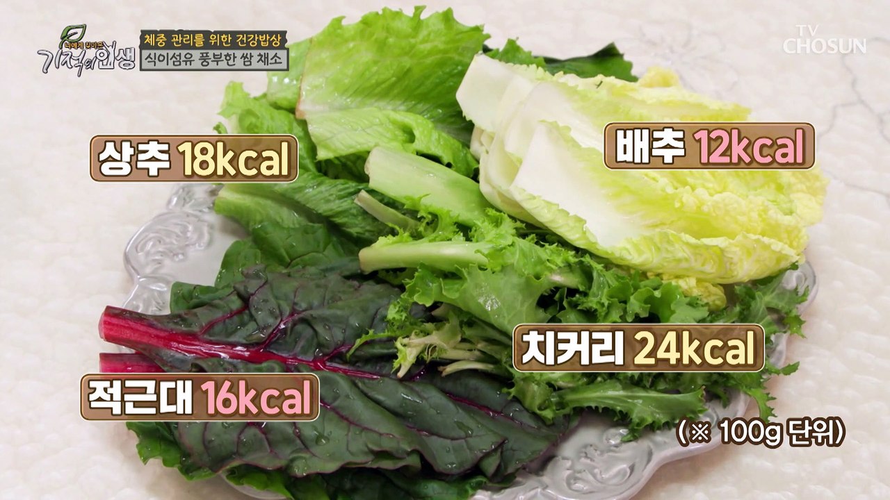 탄수화물 중독에서 벗어날 수 있던 초미니 밥그릇 TV CHOSUN 20221126 방송