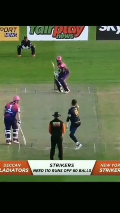 New cricket  | cricket