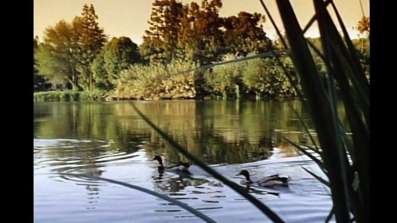 Death of a Cheerleader