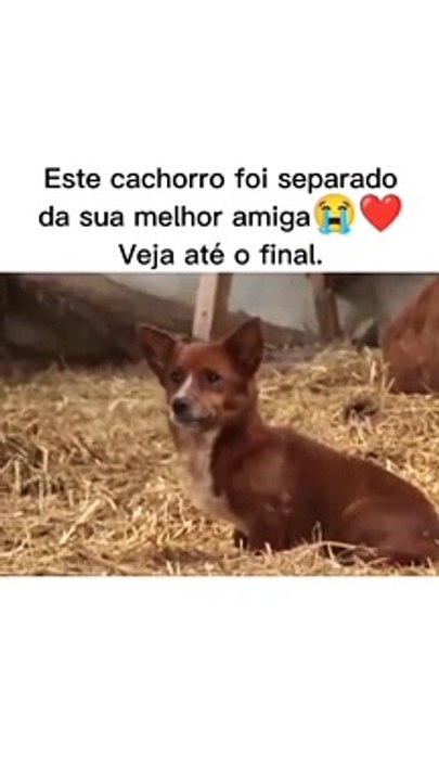 Support My Content & Share the Video! 🙏