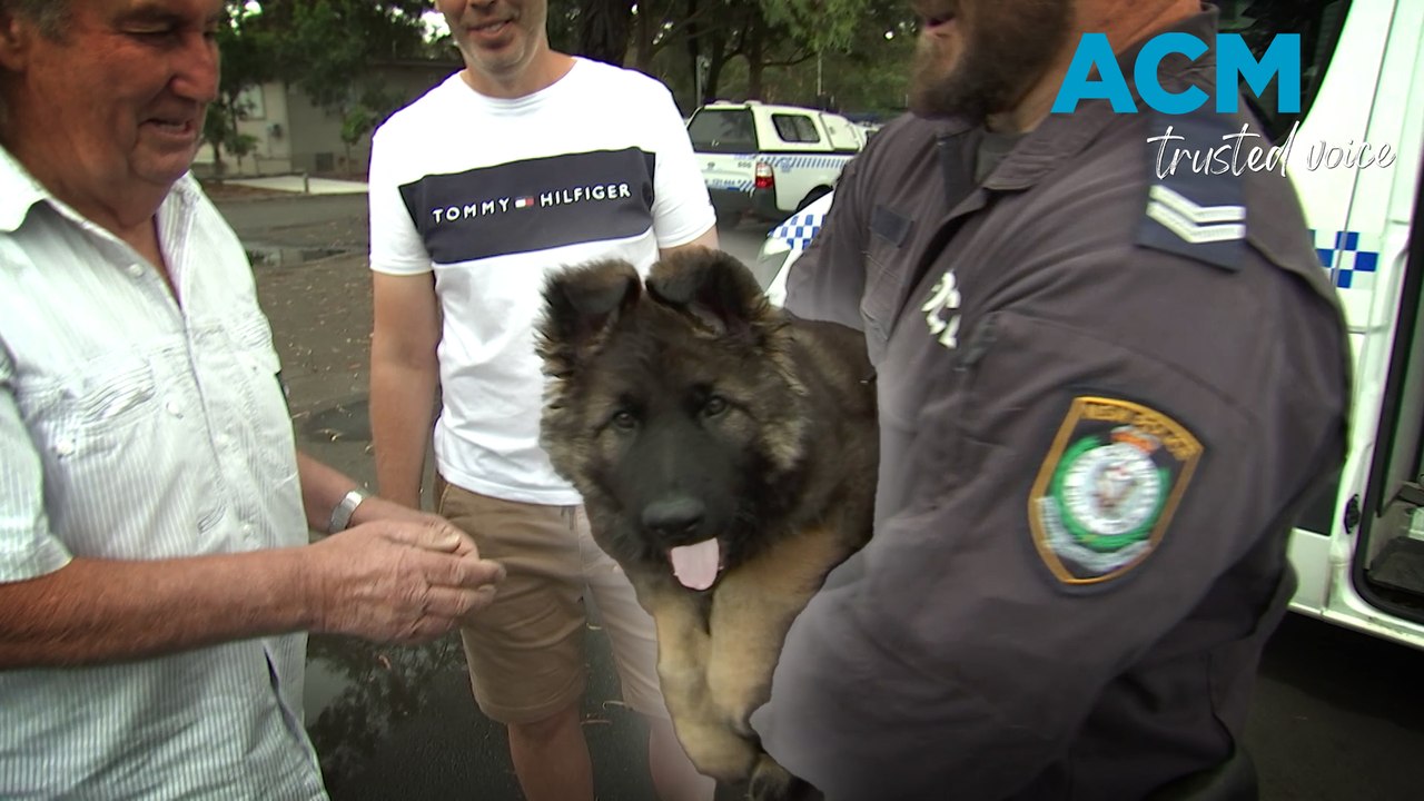 Police puppy 'Foster' meets family namesake