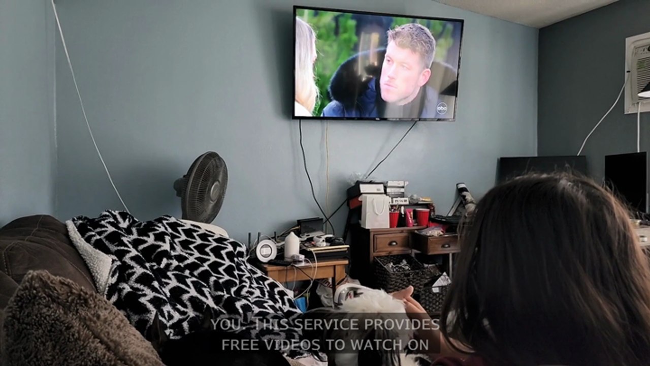 How To Stream TV For Free