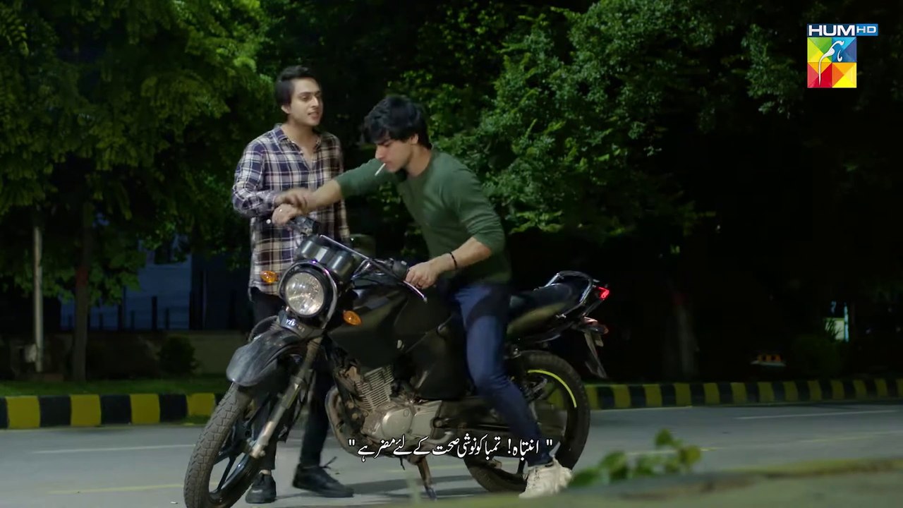 Wehshi, Episode #28, HUM TV Drama, Official HD Video - 29 November 2022