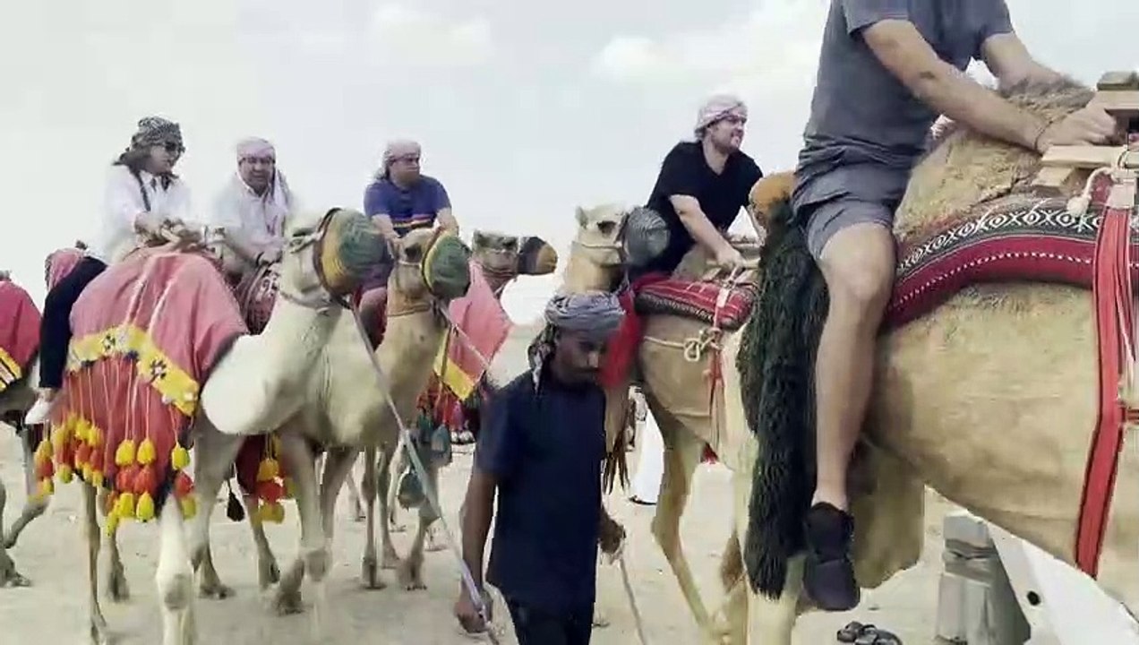 ◤2022卡塔尔世界杯◢ 摩洛哥球迷抢机票飞卡塔尔(2)