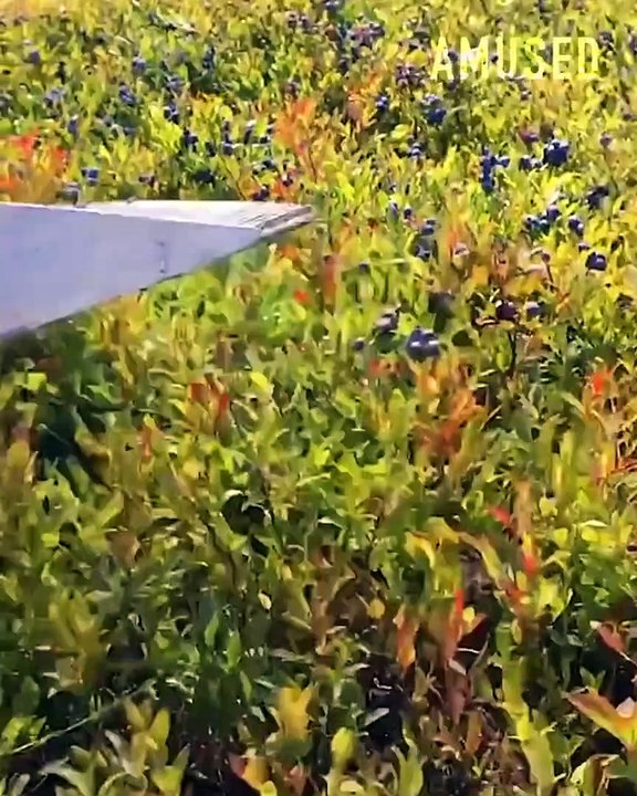 Satisfying Videos of Workers Doing Their Job Perfectly #2