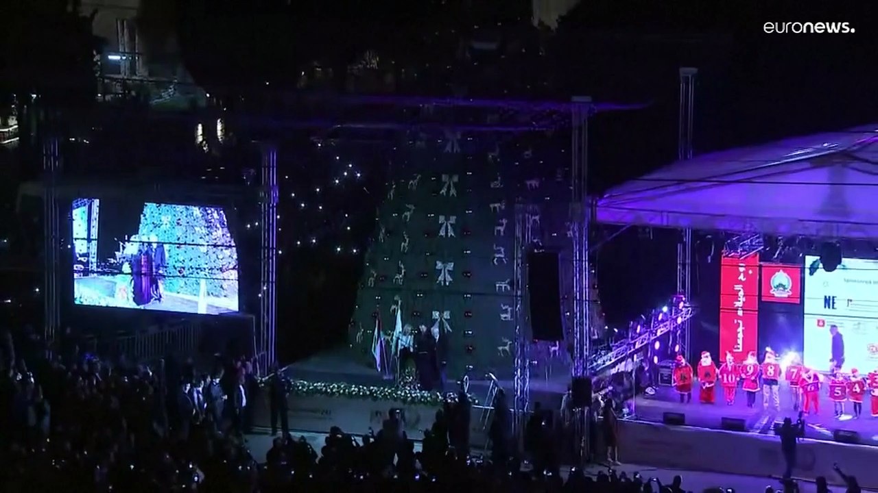 Ватикан: специально к рождеству деревьев не рубили