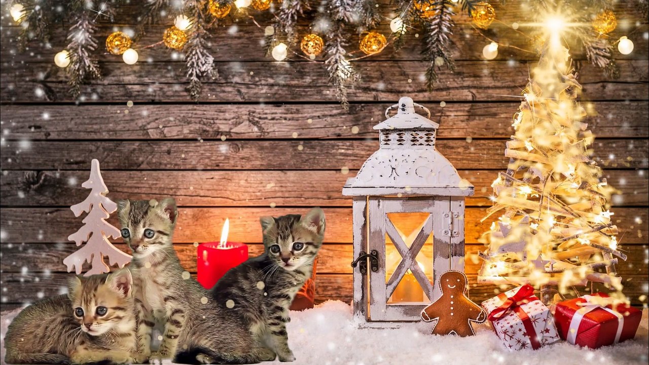 Relaxing Music | Christmas Music |