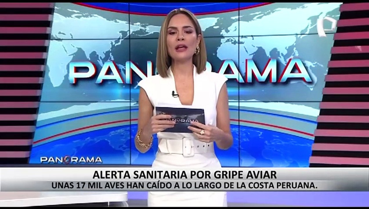 Alerta sanitaria por gripe aviar: unas 17 mil aves han caído en la costa peruana