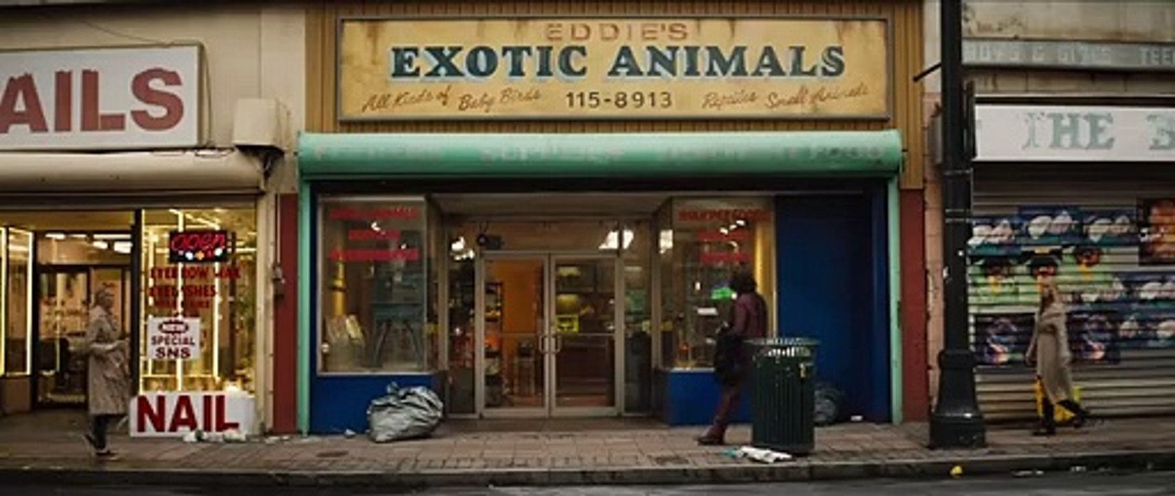 Tim, Tim, Timsah izle