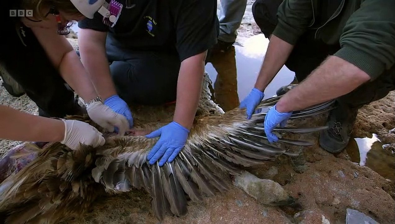 The Lost Tribes of Humanity