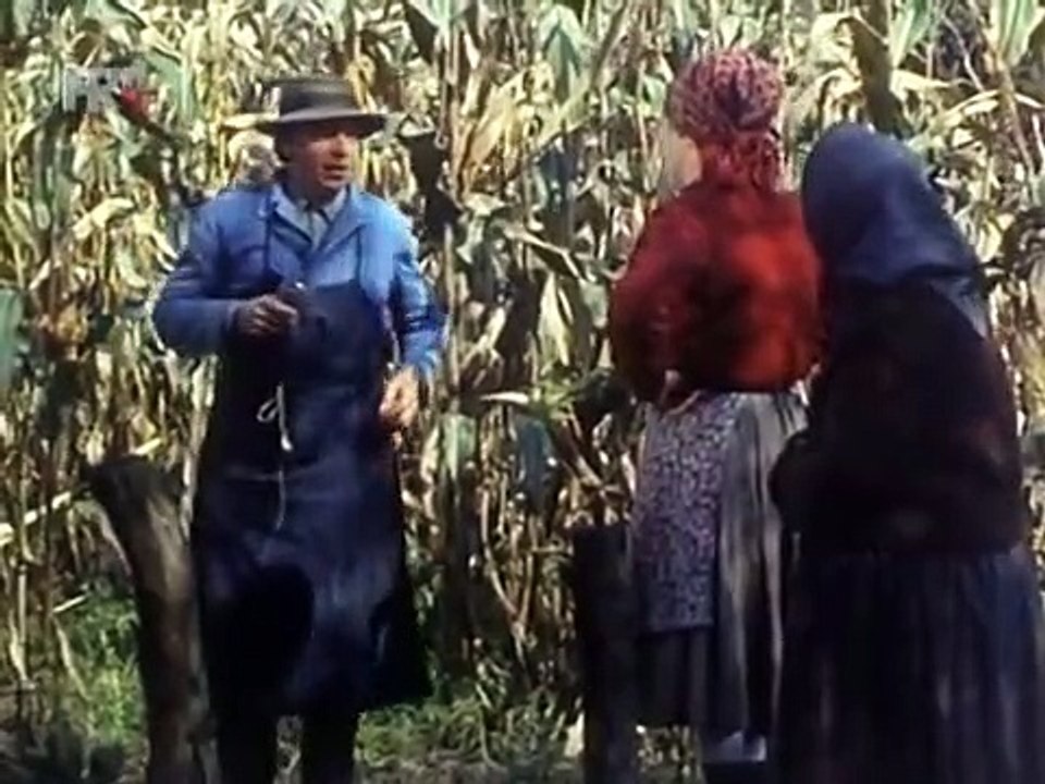 Gruntovčani - 2 - Jelen