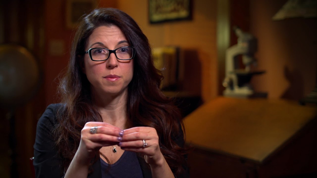 Ancient Aliens|The Space Eggs|S11|E6