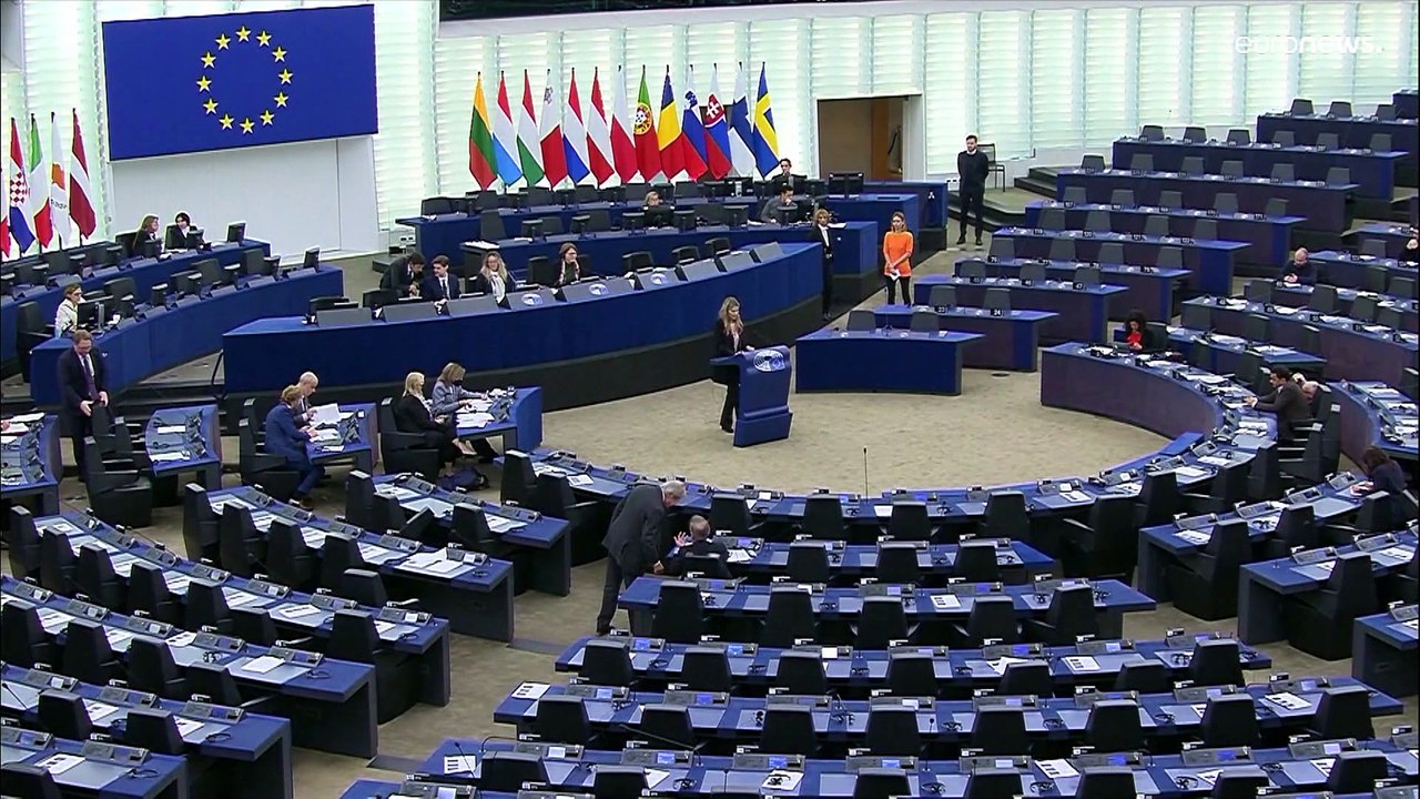 Вице-председатель Европарламента заключена под стражу