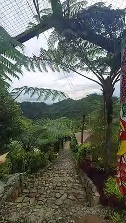 Evo  Nature Camp Cebu