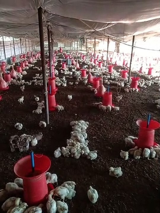 #Dailymotion vlogs vlog video my first vlog vlog //