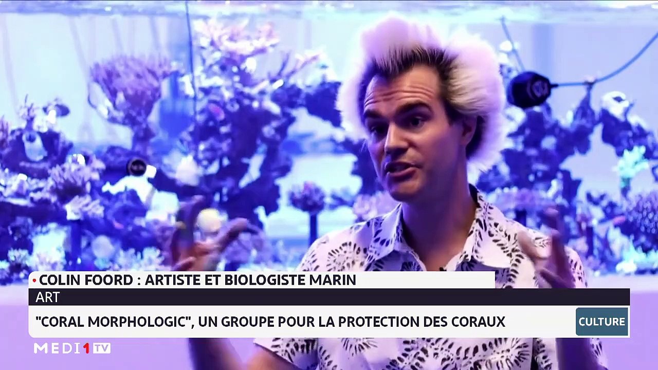 Chronique Culture du 12-12-2022 📰