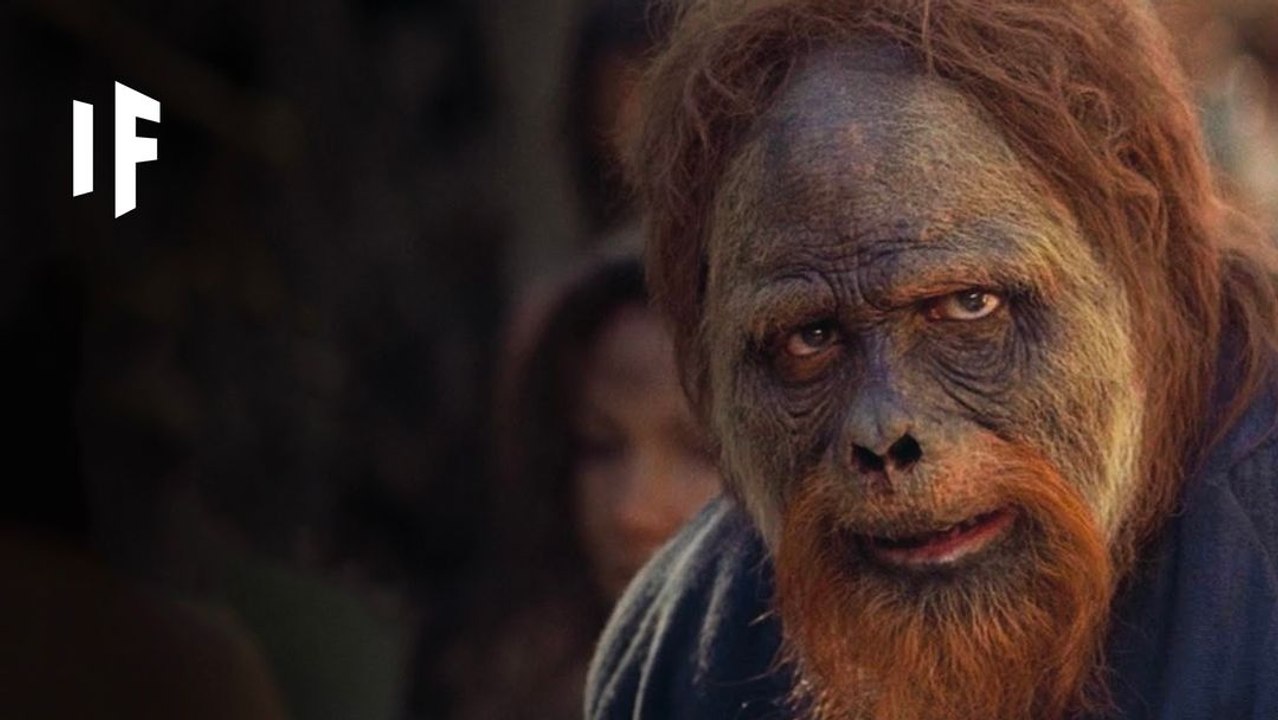 What If We Created Hybrid Human-Animals?