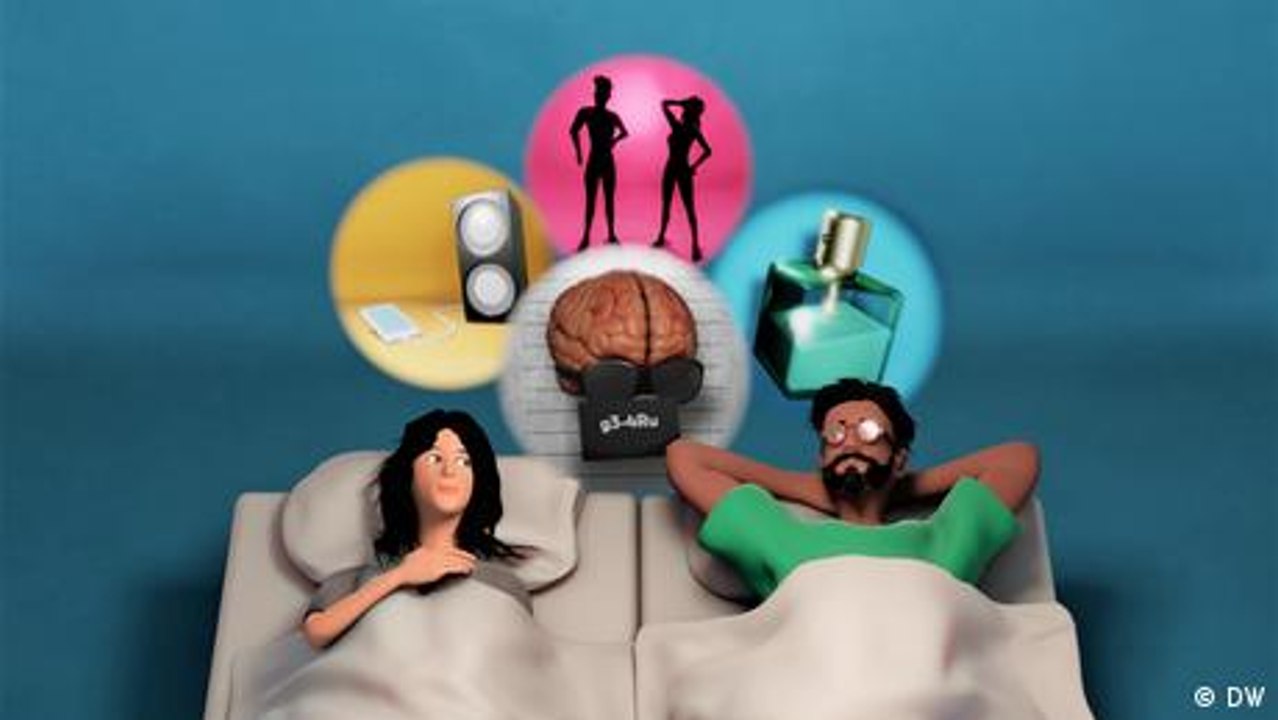 What happens in the body during sex?