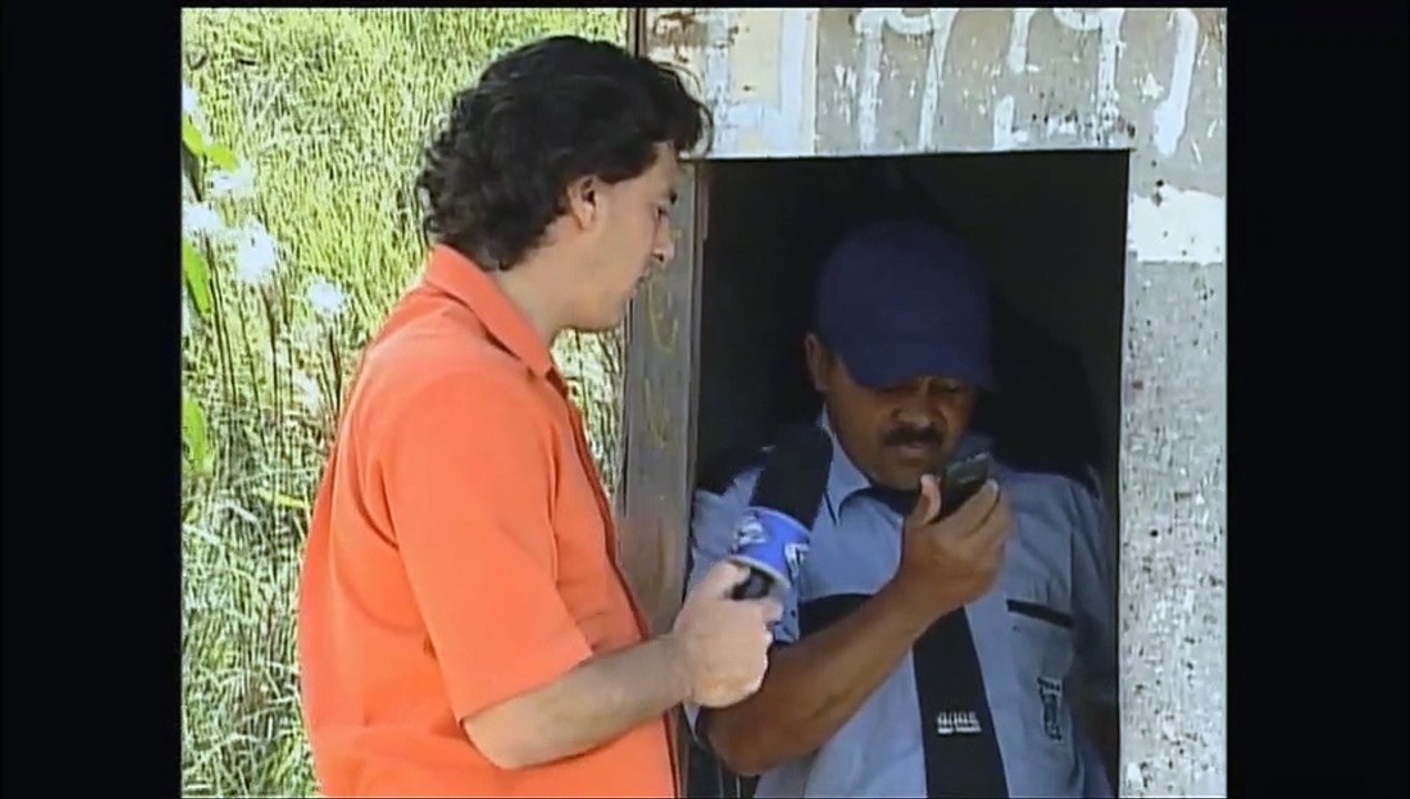 Confira a história da vaca do terreno do estádio do Corinthians