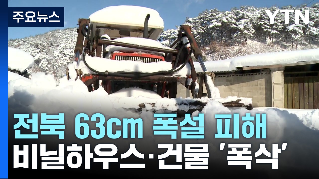 63cm 폭설에 주저앉은 비닐하우스..."블루베리 다 망쳤어요" / YTN