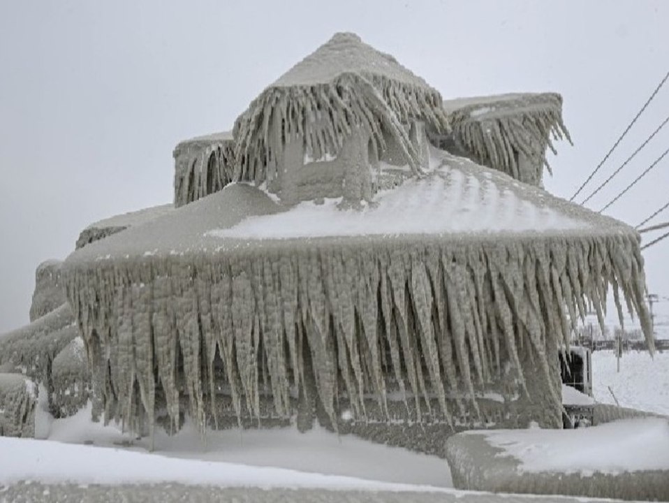 Vereiste Restaurants und gefrorene Leguane: Irre Bilder aus den USA