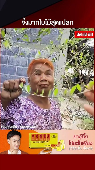 จึ้งมากใบไม้สุดแปลก ปิดหงอก เปลี่ยนสีผมได้ตามต้องการ