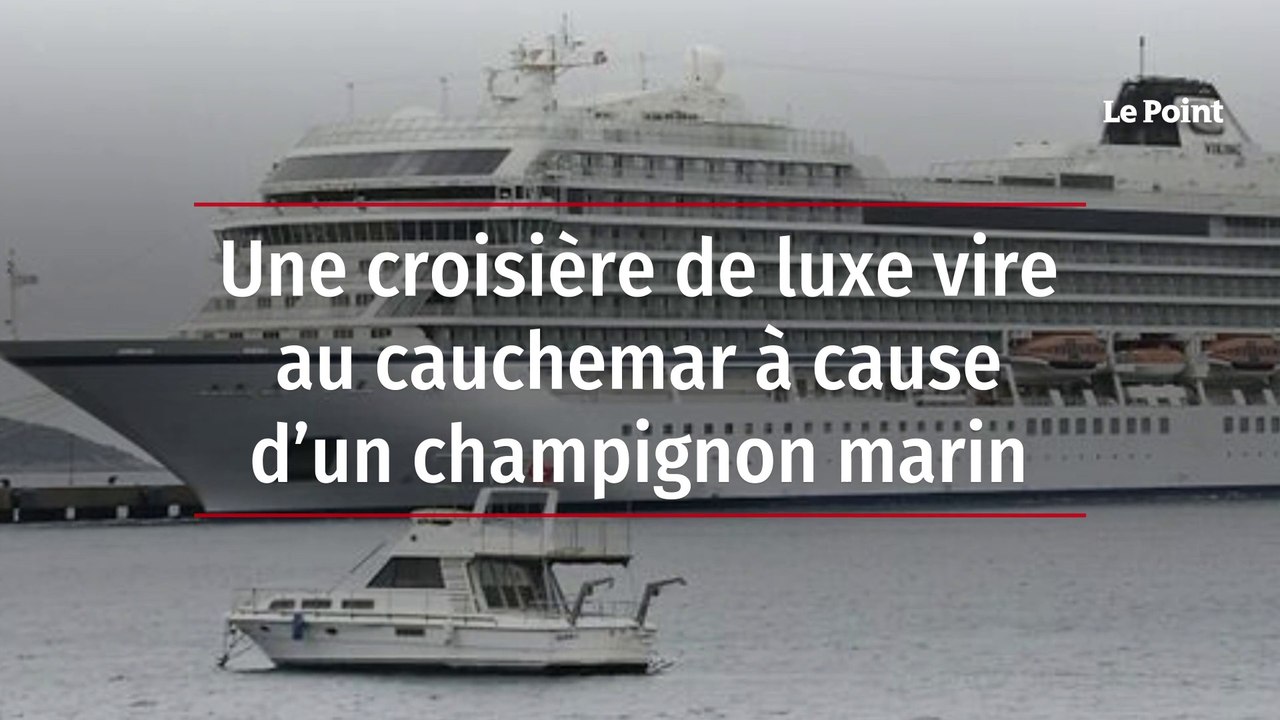 Une croisière de luxe vire au cauchemar à cause d’un champignon marin