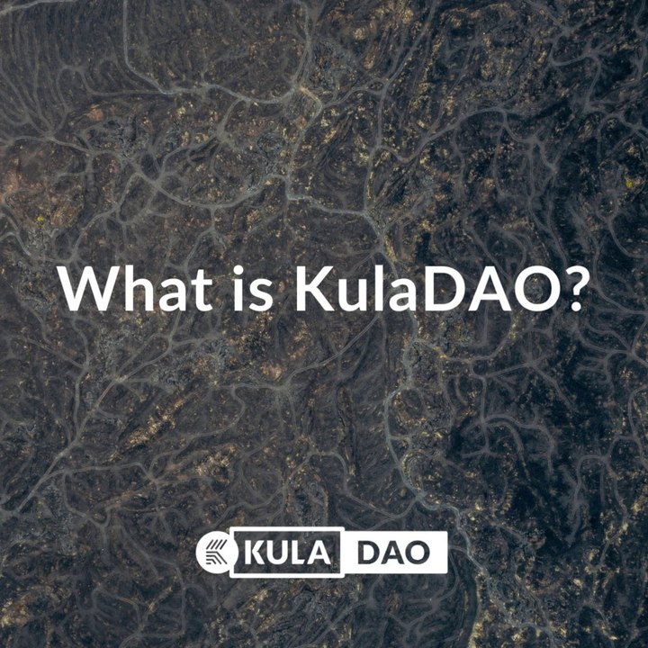 What is a DAO? | KulaDAO
