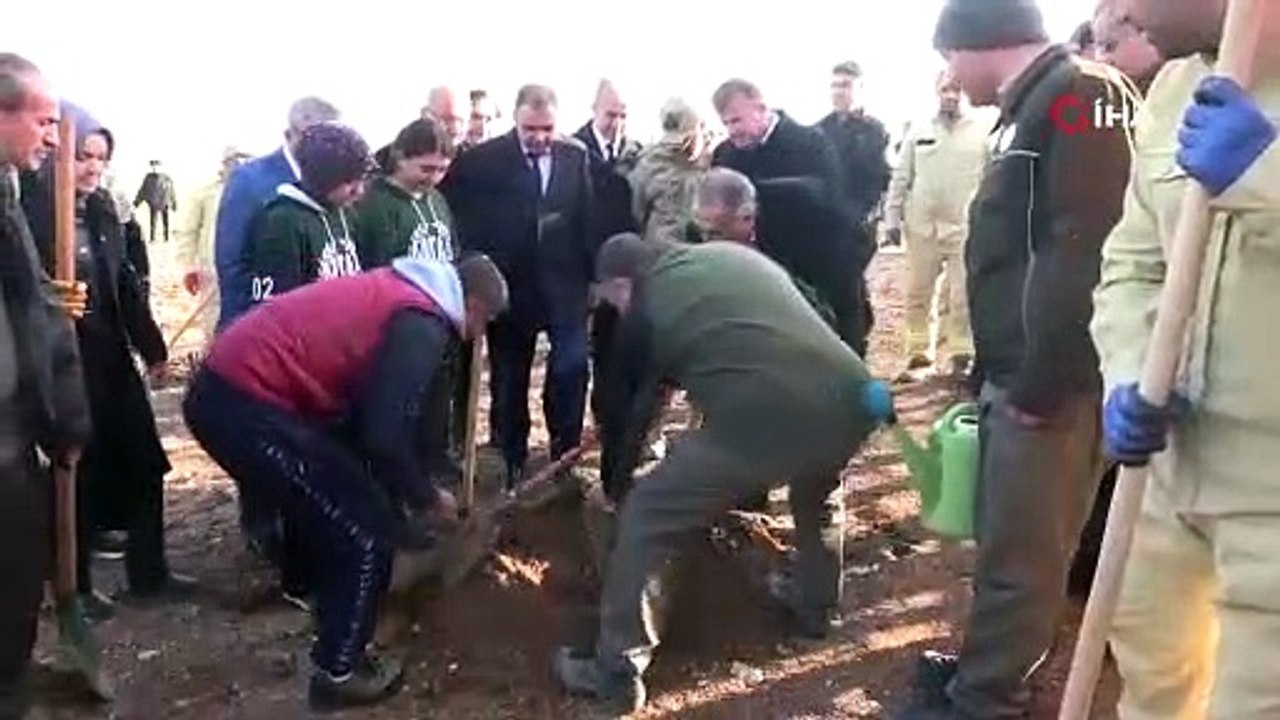 15 Adıyaman'da 15 Temmuz Şehitleri Anısına 251 Zeytin Fidanı Dikildi 🌿