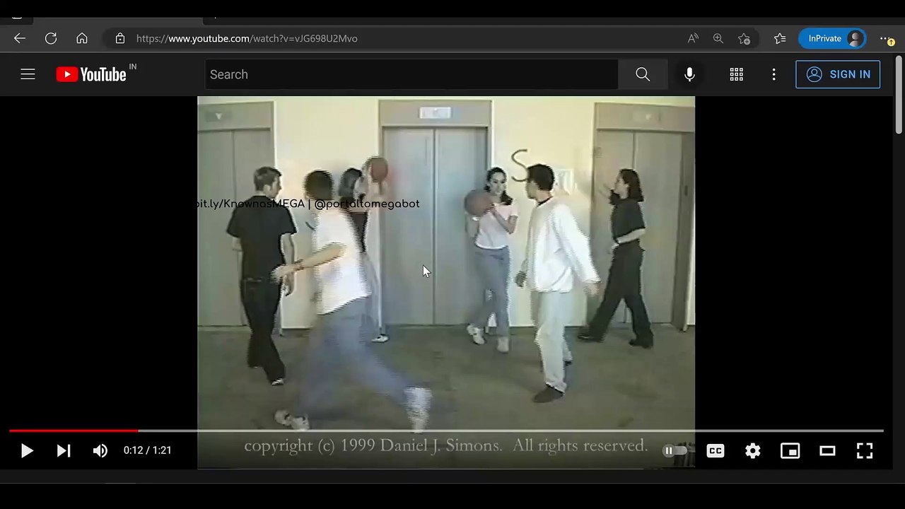 14. Attentional Bias & Confirmation Bias