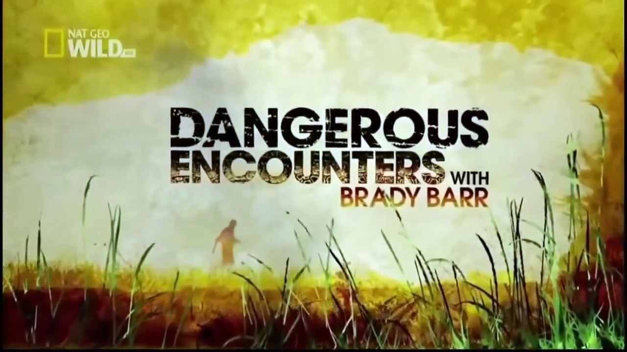 Documentaries discovery channel   King cobra  animal planet documentary   wildlife animals