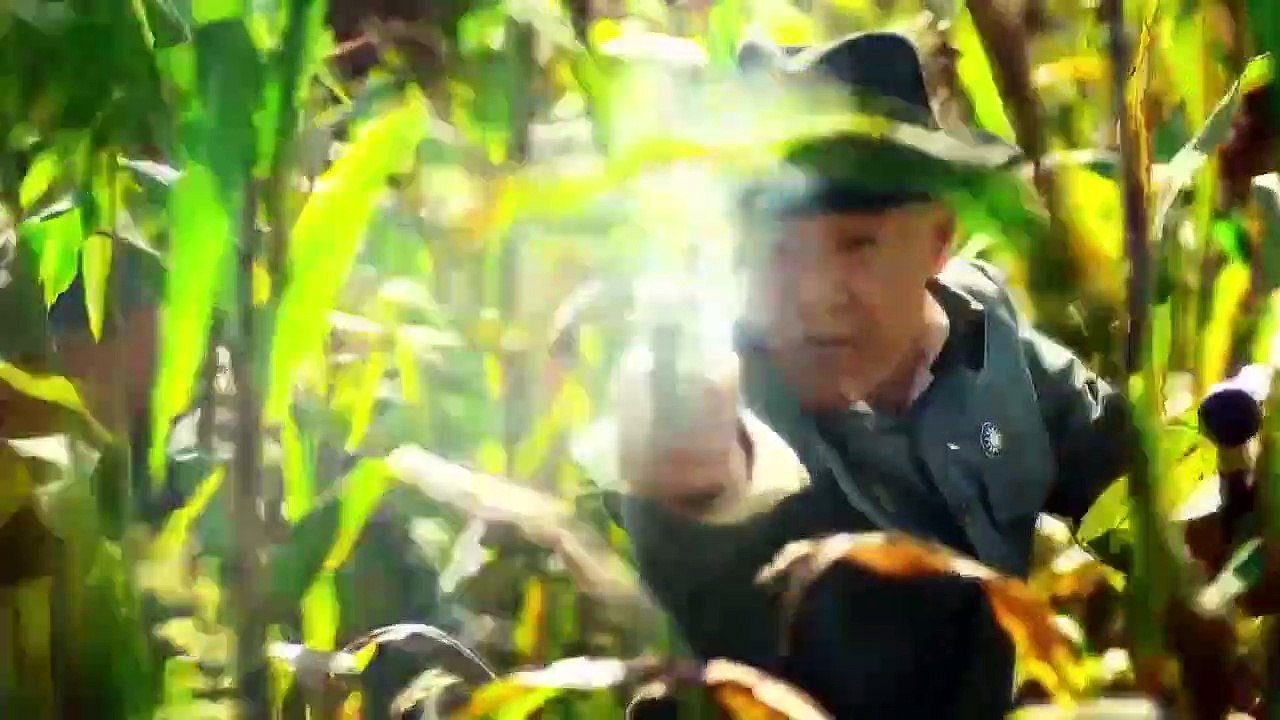 Tập 12 - Cao Lương Đỏ | Châu Tấn, Hoàng Hiên, Vu Vinh Quang, Chu Á Văn