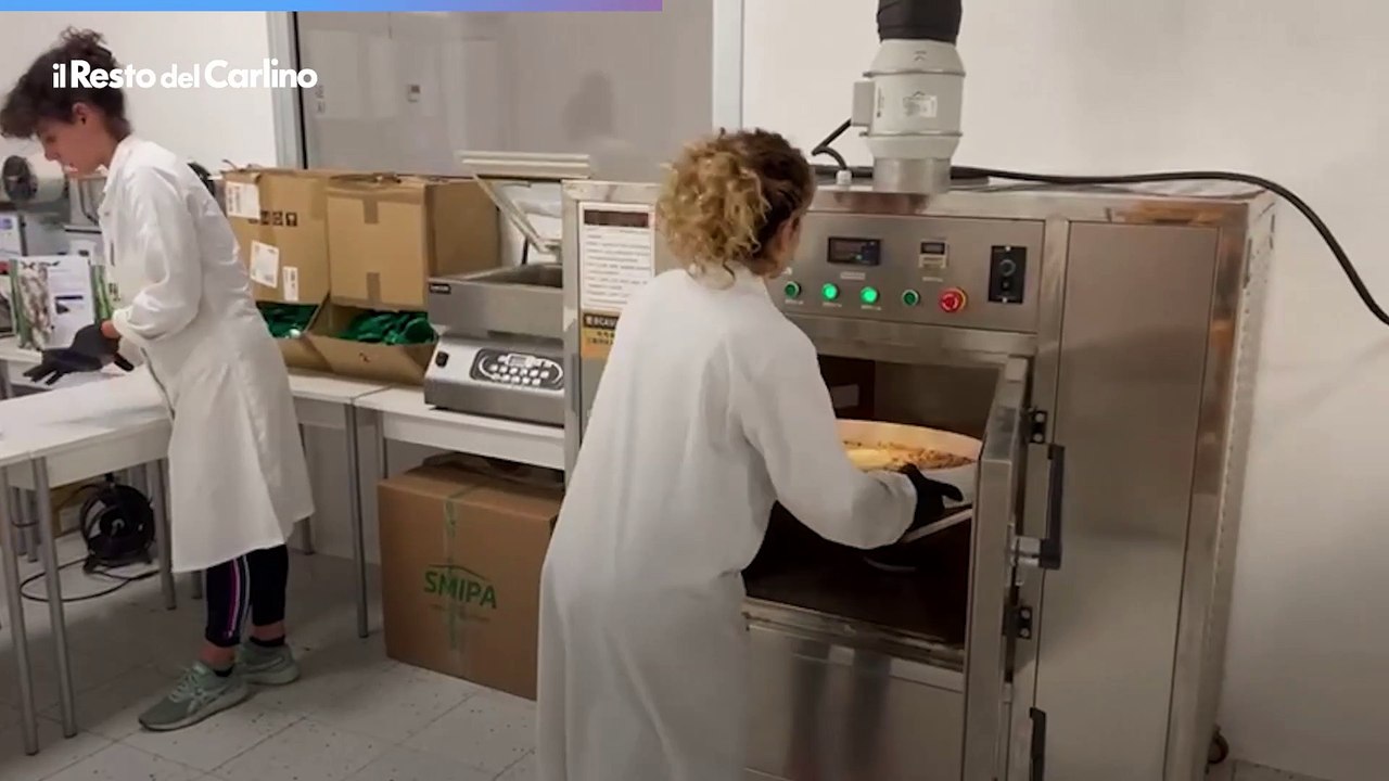 Montecassiano, arriva la farina di grillo: "Super proteica ed ecosostenibile"