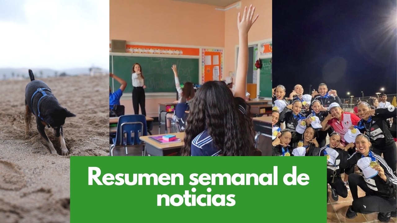 Resumen semanal de noticias