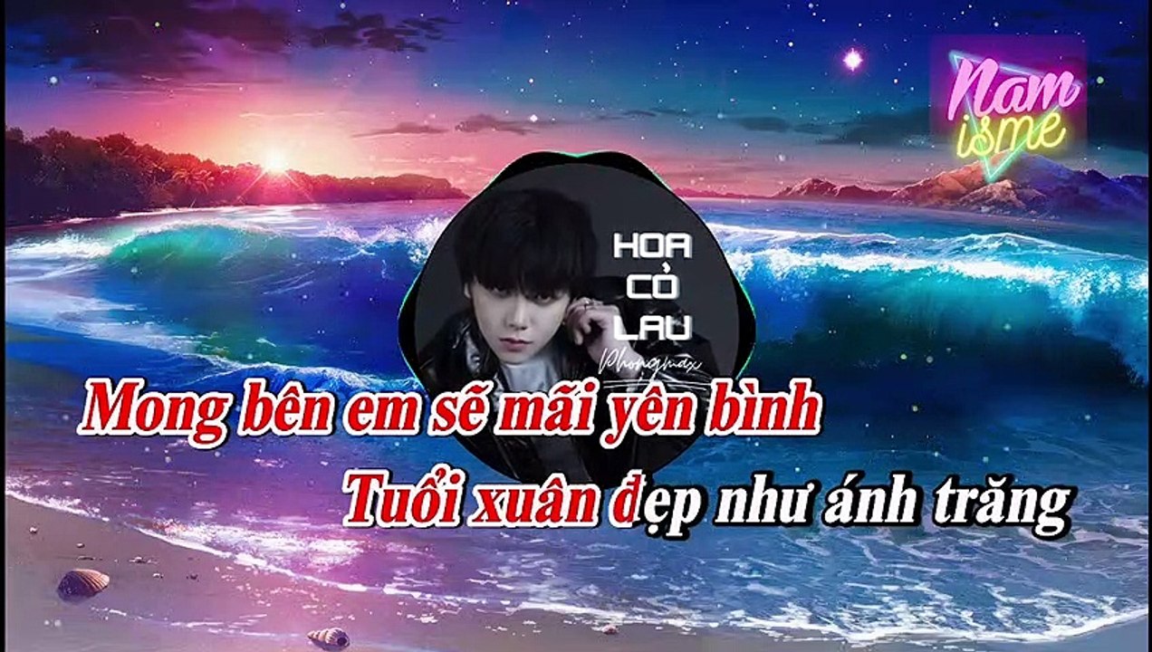 KARAOKE REMIX - HOA CỎ LAU - PHONG