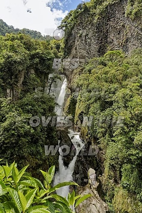 Top 10 best survival movies in the world #viral #trending