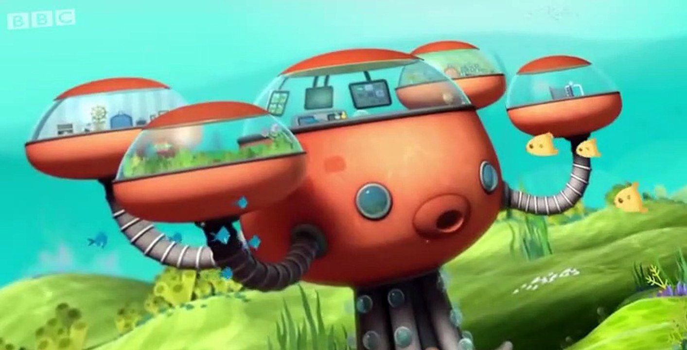 The Octonauts The Octonauts S03 E006 – The Pelicans