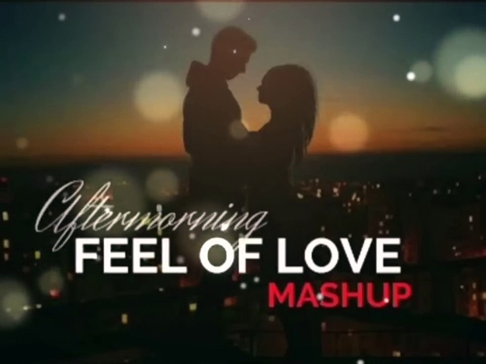 Romantic mashup love lofy